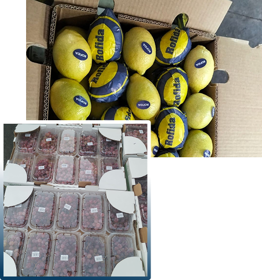 Wholesale Fruits & Vegetables