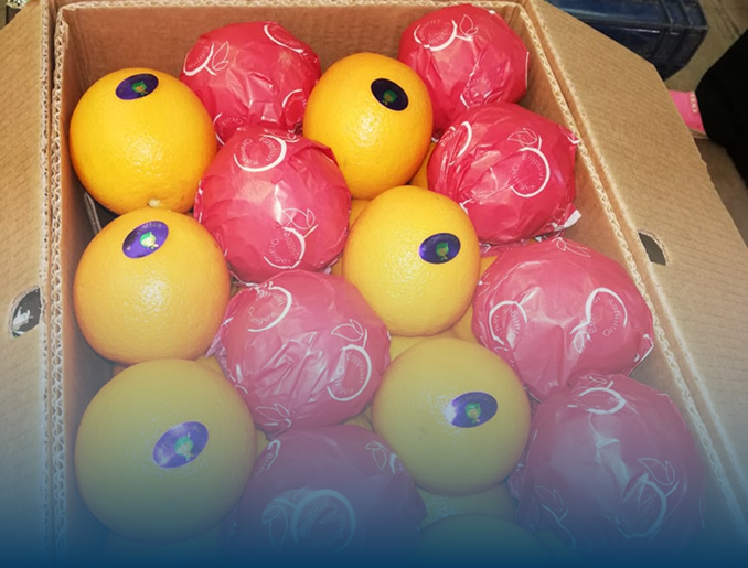 TAYBAT AL-HAKKOUL For Trading